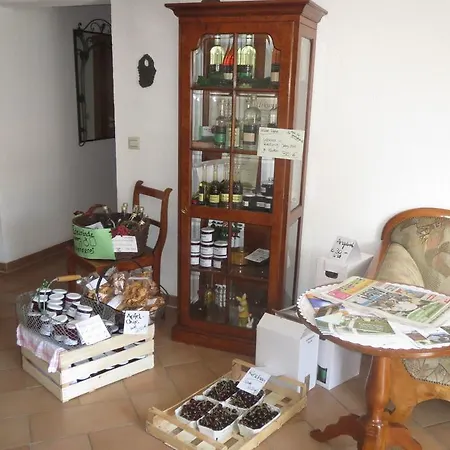 Πανσιόν Gaestehaus Frohe Aussicht